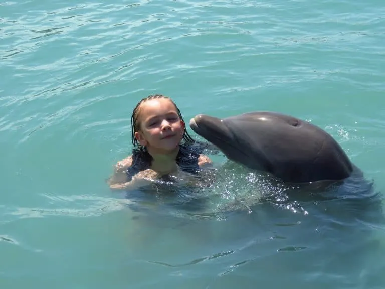 Swim with dolphins at Dolphin Cove in Jamaica