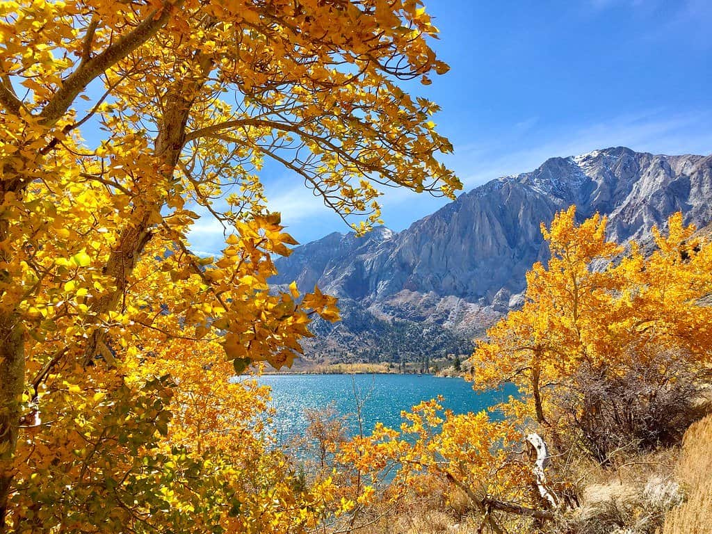 convict lake fall in California