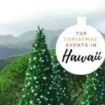 Christmas in Hawaii- Hawaii Christmas Events for 2023 1