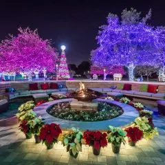 The Best Dallas Christmas Events for Families in 2022