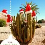 The Best Tucson Christmas Events in 2023 1