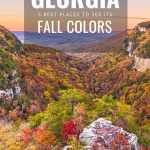 5 Best Places to View Fall Colors in Georgia 1