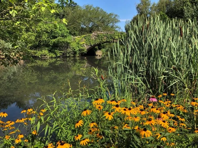 NYC with teens - Central Park