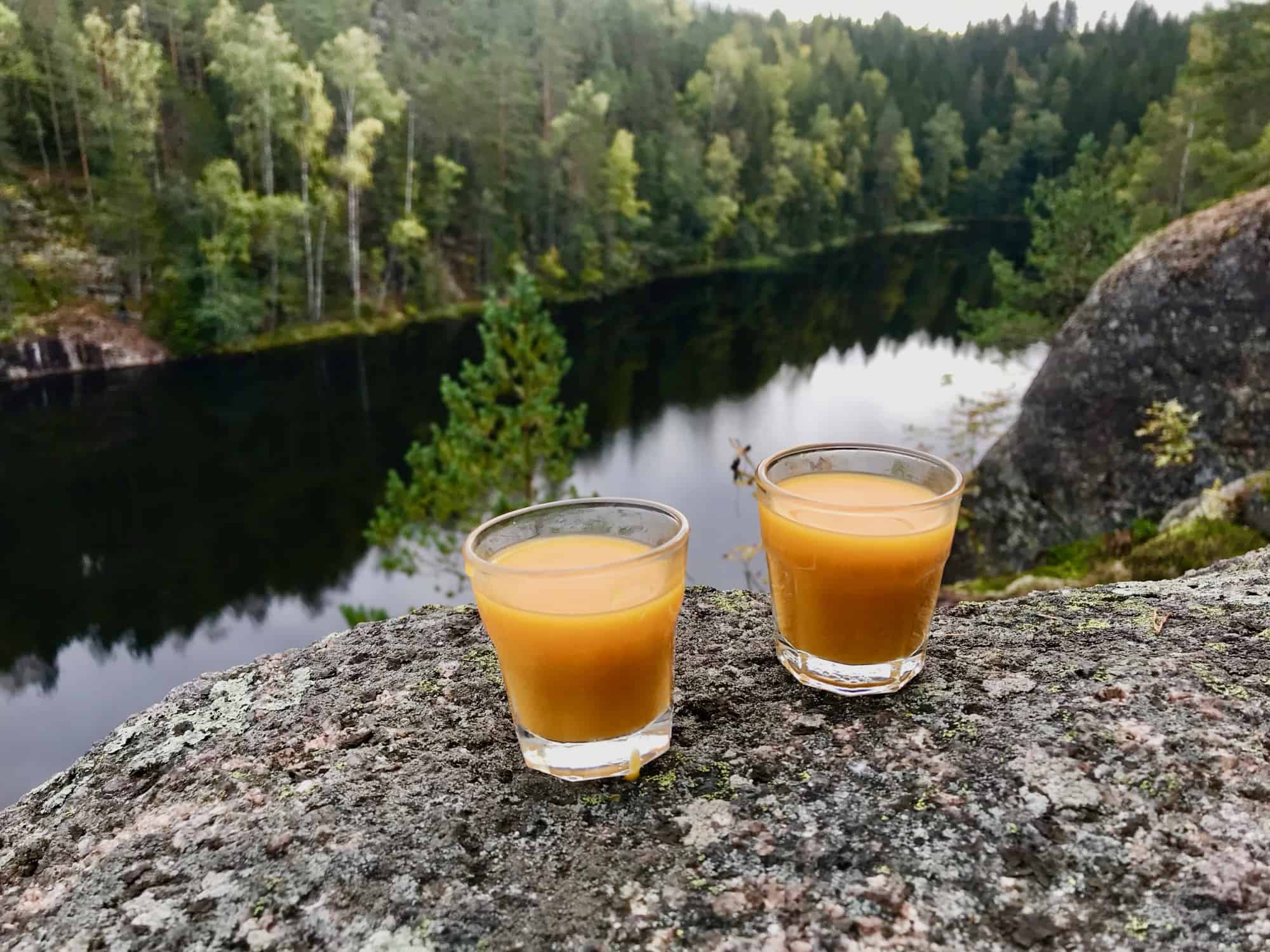 Over 20 Things to do Finland + What You Need to Know Before Yo Go 8