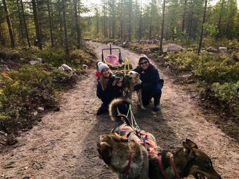 Husky Dog Sledding at Bearhill Huskies