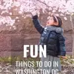 The Absolute BEST Things to do in DC with Toddlers 1
