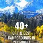 40+ of the Best Campgrounds in California 1