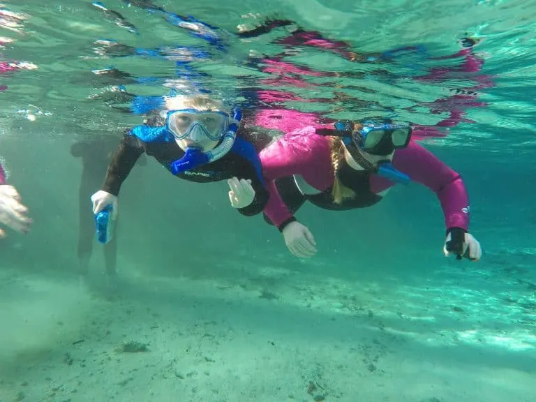 Snorkeling at Three Sisters Springs looking for manatees