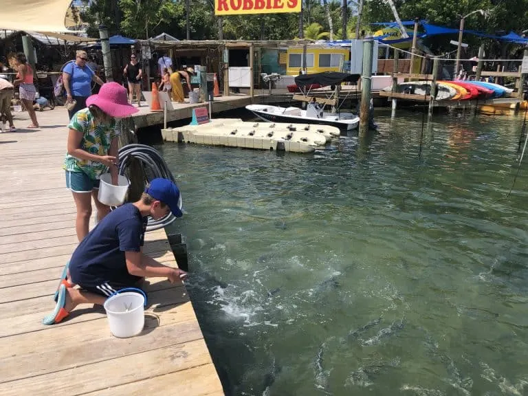 Feeding the Fish at Robbies