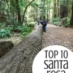 Top 10 Fun Things to do in Santa Rosa, California with kids! 1