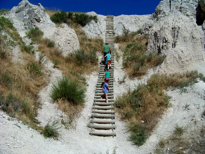 Badlands Notch Trail Ladder