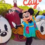 26 Things to Know Before You Visit Disney Castaway Cay 1