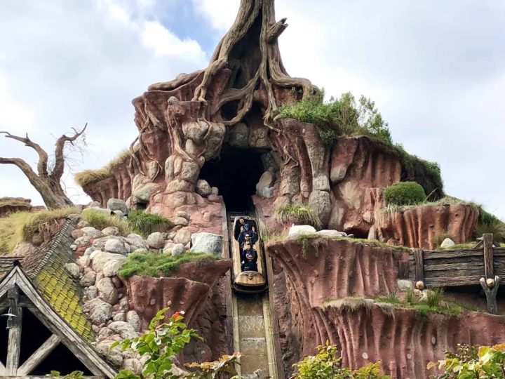The 20 Best Rides at Disneyland Resort in 2022