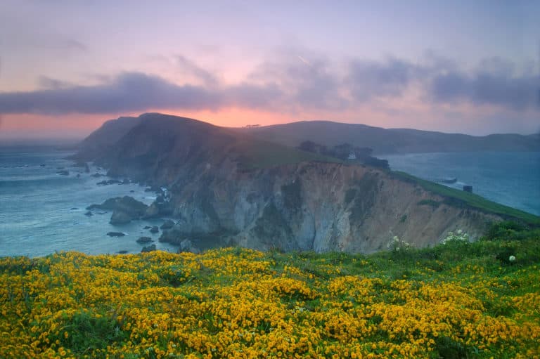 Exploring Point Reyes is one of the great things to do in Northern California