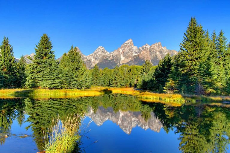 grand teton is one of the best national parks for kids