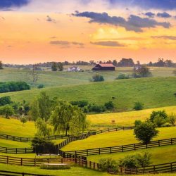 10 Fun Things to do in Kentucky with Kids on a Family Vacation