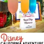 Over 50 Foods You Have to Try at the Disney California Adventure Food and Wine Festival 2