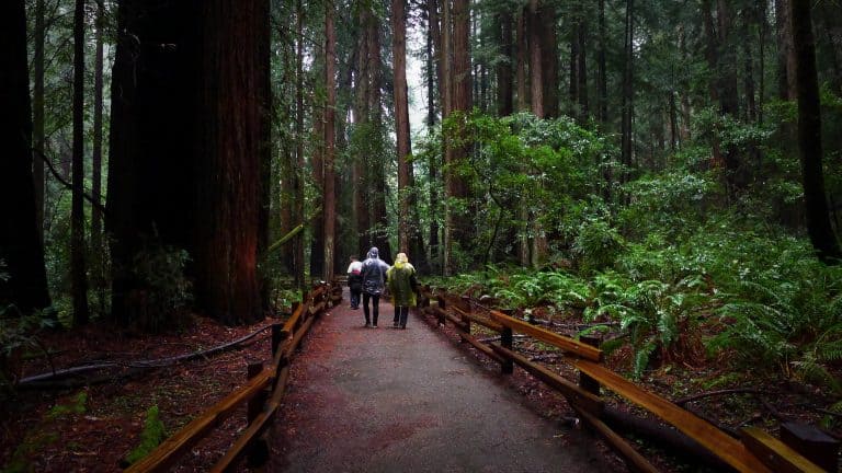 Best Hikes Around the San Francisco Bay Area