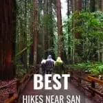 Hiking Near San Francisco | The 15 Best Hikes Near San Francisco 3