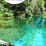 Top 10 Things to Do in Florida with Kids- Florida Family Vacation 3