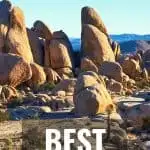 Joshua Tree with Kids- When to Visit, Things to do, Best Hikes, & More! 3