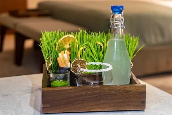 Wheatgrass margarita