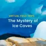 Virtual Field Trips From Around the World 13
