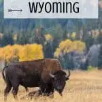 Wyoming Family Vacations- 10 Fun Things to do in Wyoming 3