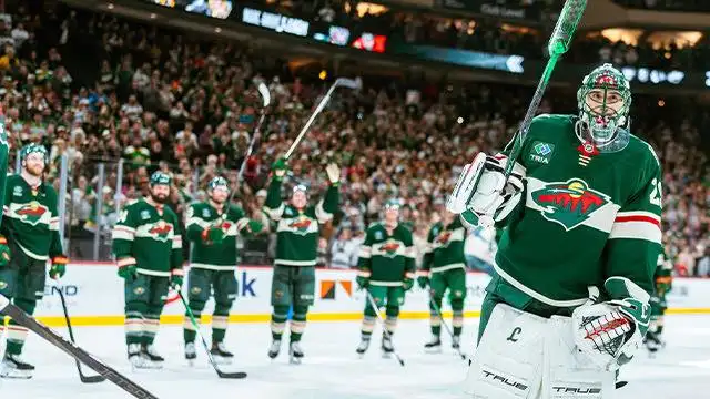 Minnesota Wild hockey team