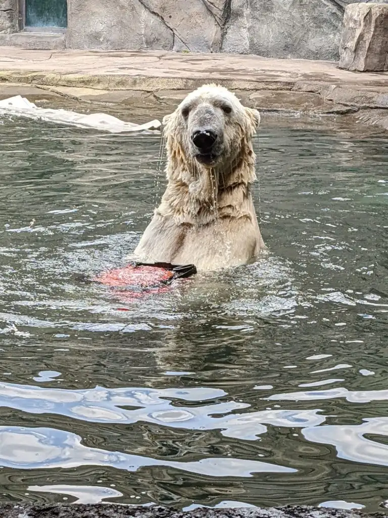Over 40 Great Things to do in Minnesota with Kids- Minnesota Family Vacation 2