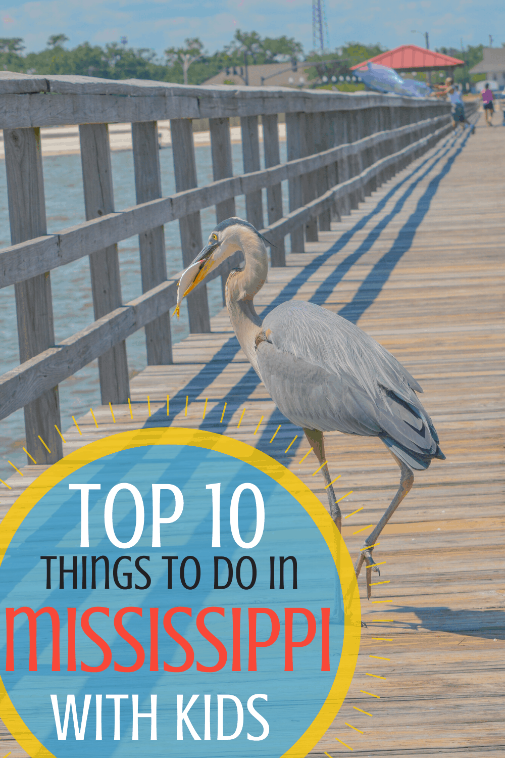 Over 25 Amazingly Fun Things To Do In Mississippi With Kids