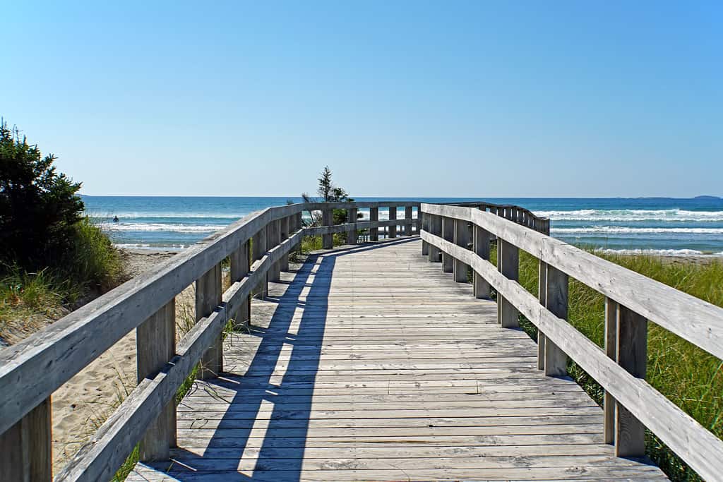 long beach boardwalk photo