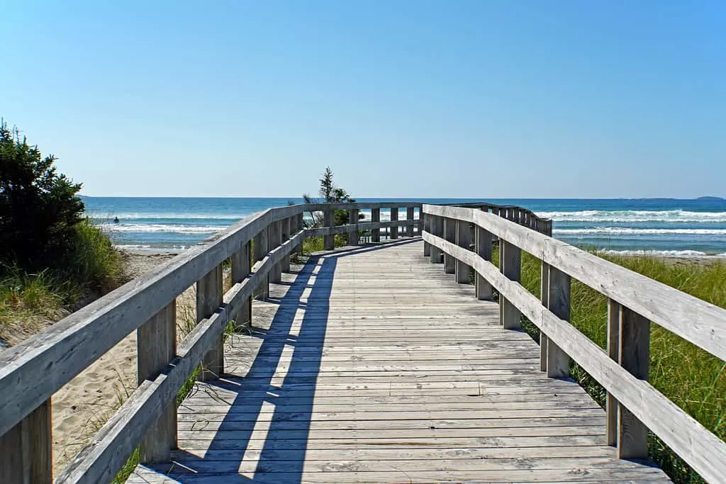 long beach boardwalk photo