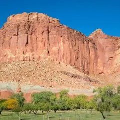 Things to do in Capitol Reef National Park- Family Hikes & More!