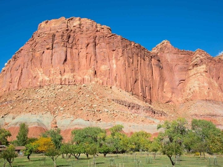 Things to do in Capitol Reef National Park- Family Hikes & More!