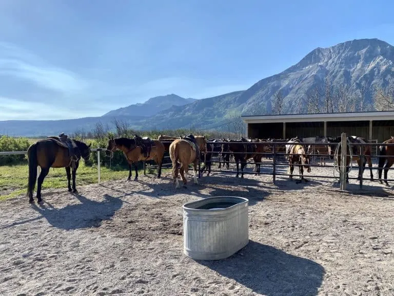 Alpine Stables in Waterton Lakes National Park