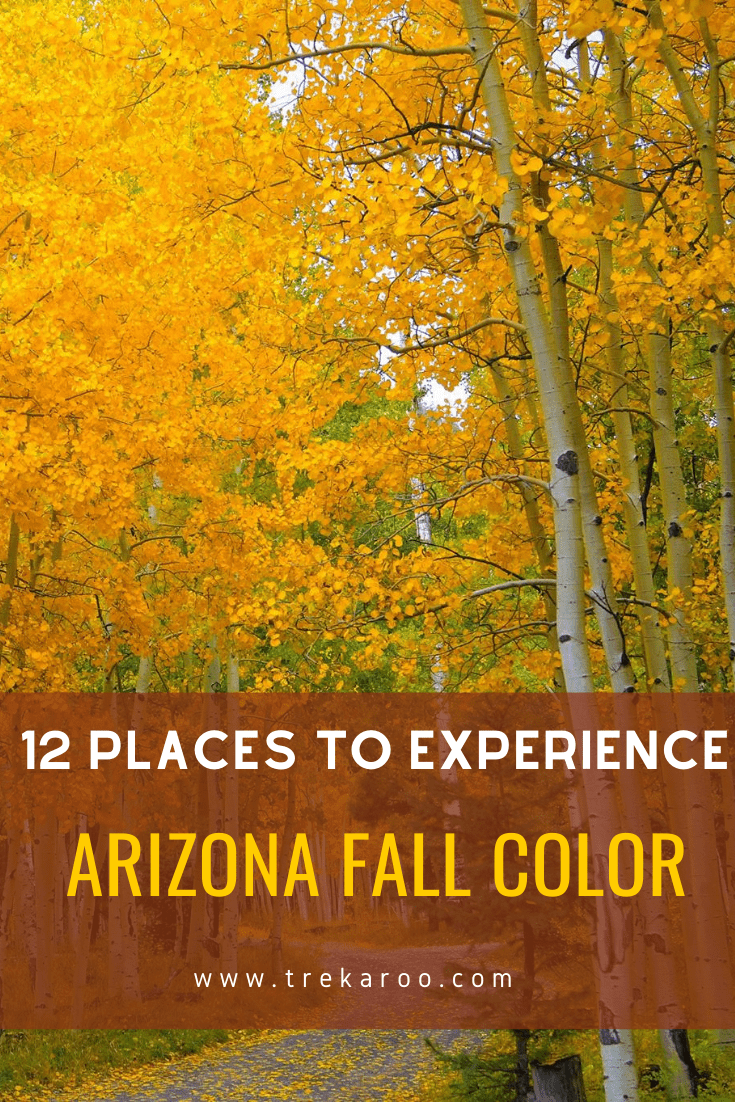 Fall In Arizona- 14 Best Places For Fall Colors In Arizona