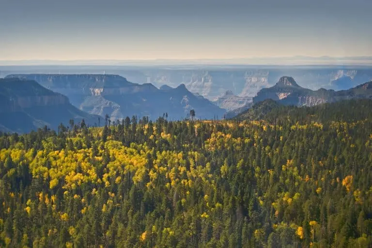 north rim grand canyon looking south by flickr Anita Ritenour