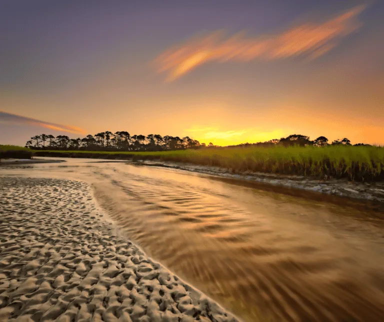 Over 20 Family Things To Do in Jacksonville 17 Big Talbot Island