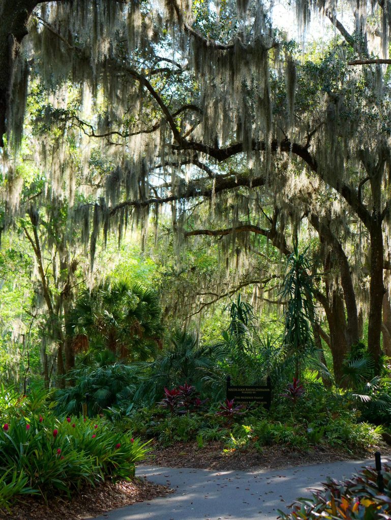 Over 20 Family Things To Do in Jacksonville 1