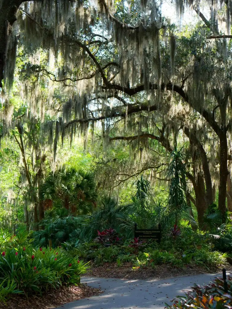 Over 20 Family Things To Do in Jacksonville 8 Over 20 Family Things To Do in Jacksonville 1