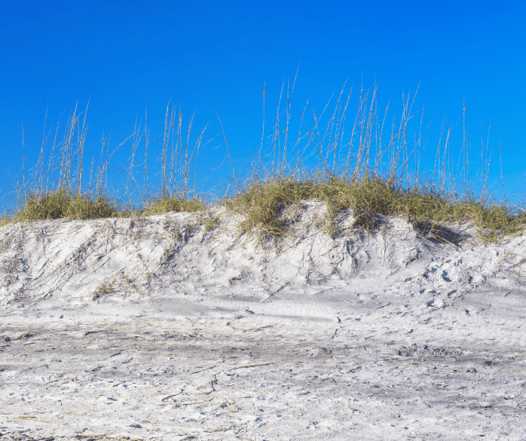 Little Talbot Island
