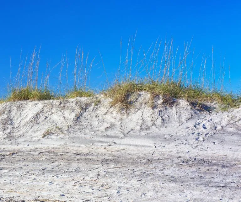 Over 20 Family Things To Do in Jacksonville 18 Little Talbot Island
