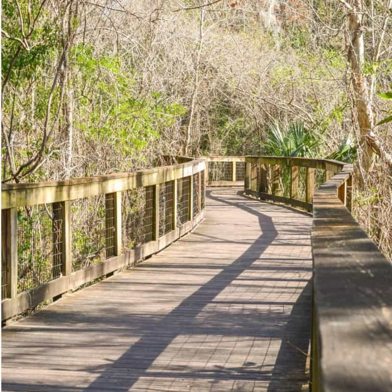 Tree Hill Nature Center Boardwalk