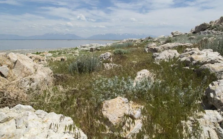 antelope island by flickr kyle greenberg