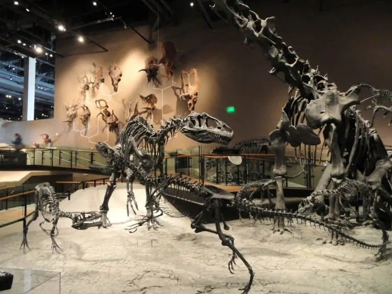Past World's Exhibit at The Natural History Museum of Utah things ot do in Salt Lake City with kids