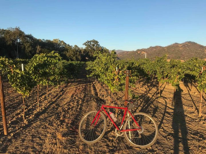 Bicycling in the midst of the vineyards | Photo by: Brennan Pang