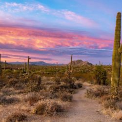 10 Best Things to do in Scottsdale with Kids