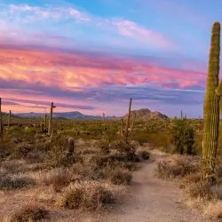 Over 25 of the Best Things to do in Scottsdale with Kids