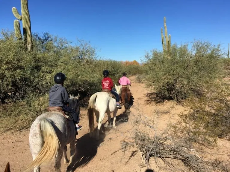 horseback riding in the Sonoran desert in Scottsdale